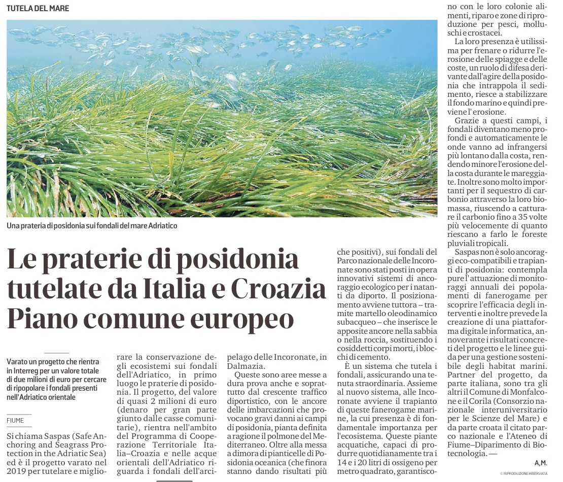 Il Piccolo 280222 posidonia salvaguardia ambientale Adriatico