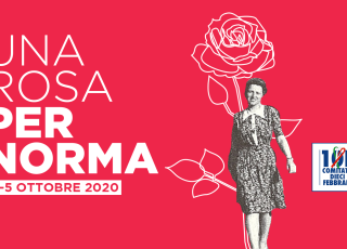 Cover Rosa Per Norma