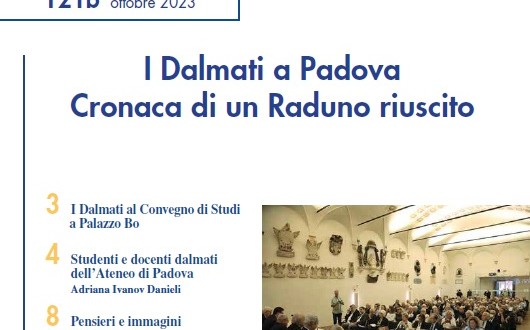 Il Dalmata 10 2023 Copertina