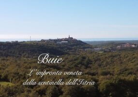 Ass Com Ist Buie Documentario