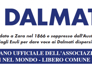 Il Dalmata Testata