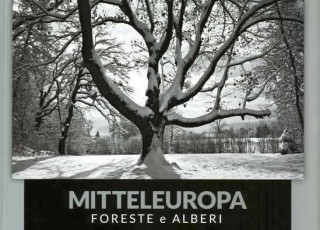 Mitteleuropa1
