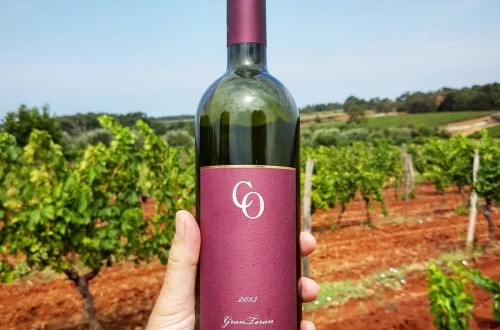 Coronica Gran Teran Thestoryofmywine Com