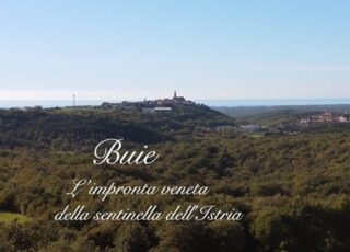 Ass Com Ist Buie Documentario