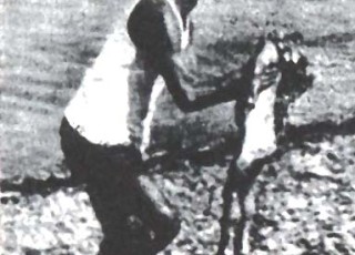Bambina Pola