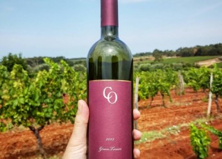 Coronica Gran Teran Thestoryofmywine Com